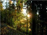 Cijanovca- Srednji vrh- Mali Grintovec - Bašeljski vrh - Kališče začelo se je v krasnem, sončnem jutru